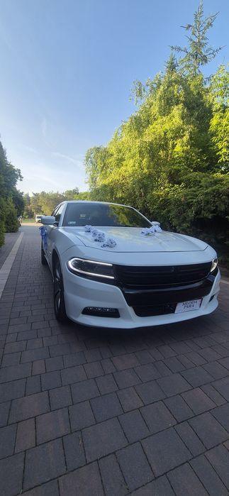 Auto do ślubu. Zawiozę do ślubu Dodge Charger v8