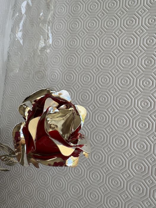 Rosa vermelha Bagutta