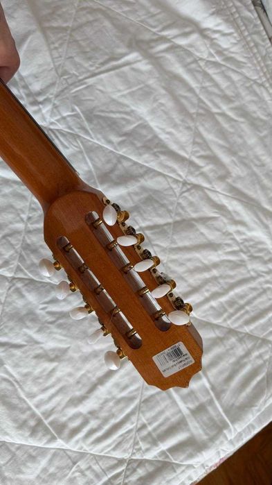 Viola Caipira ROZINI