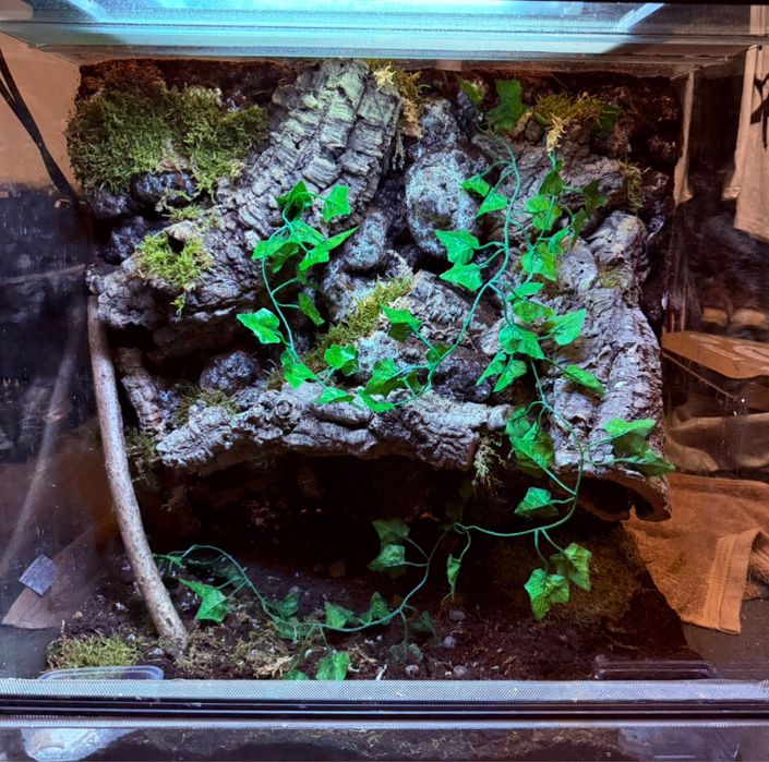 cena do 24.04 Terrarium 60x40x60 scianka wystroj (ew wymiana)