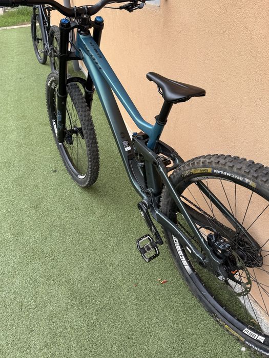 Scott gambler 910 2024