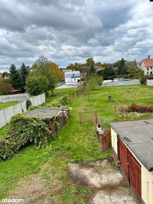 Zdjęcie 8