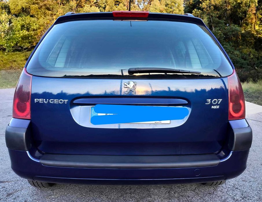 Peugeot 307 Break 1.6 HDI 90cv - 2005
