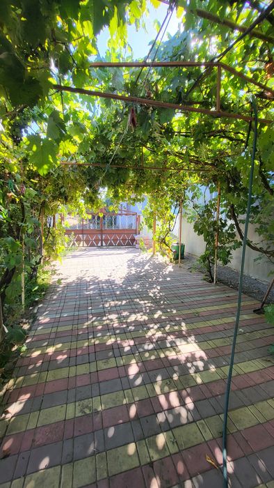 Продаю будинок в Миколаївському районі.