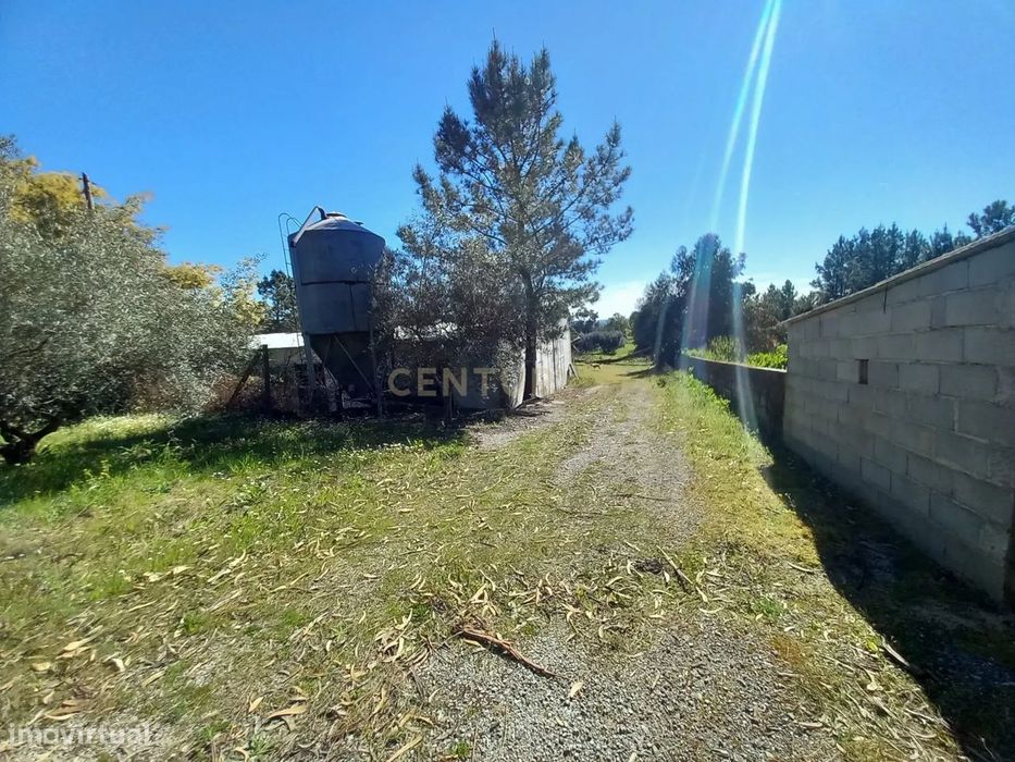 Quinta com 24750m2 Louriçal do campo