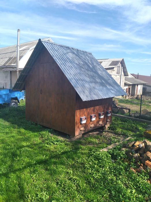 Апібудинок  вулики