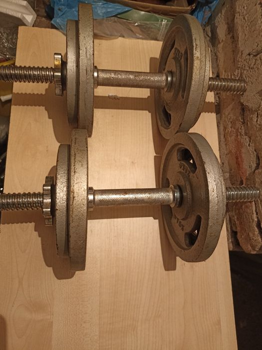 Hantle żeliwne 2x10 kg