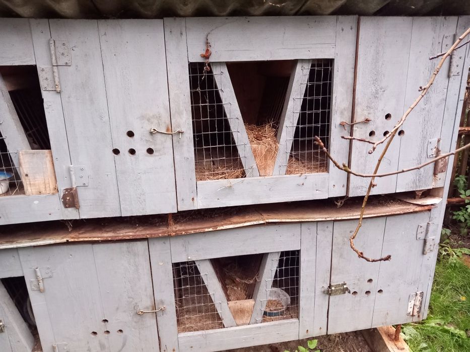 Продам клітку для кролів