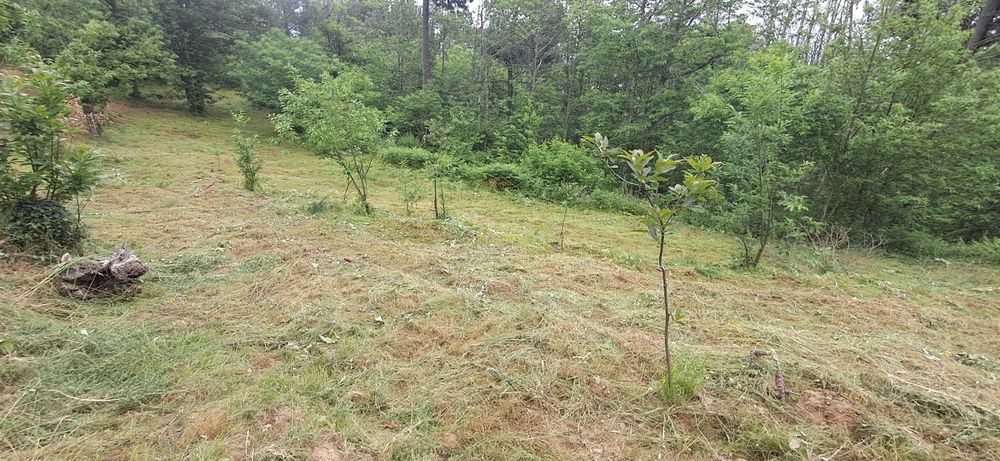 Prestação de serviços