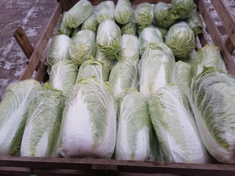 Zestaw warzyw bezpośrednio od rolnika wysyłka inpost paczkomat