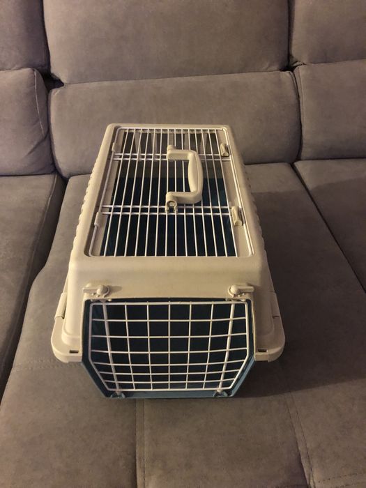 Caixa transportadora animais