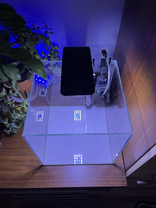 Akwarium „kostka”