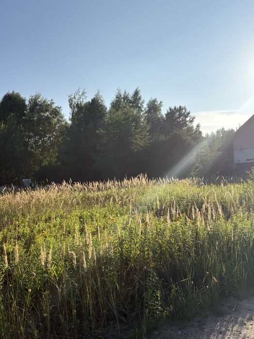 Działka budowlana Miłoszyce - Wrocław - Jelcz Laskowice