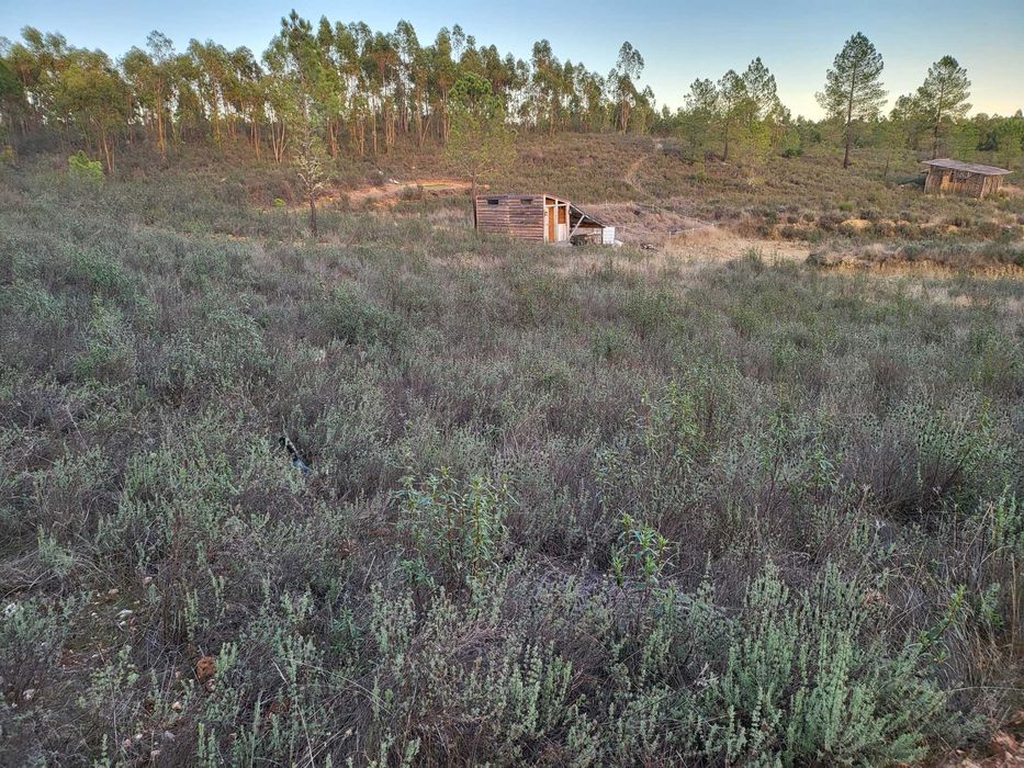 Refúgio Off-Grid 2.5ha com Ribeira e Autocaravana e solar