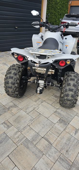 Can am renegade 1000