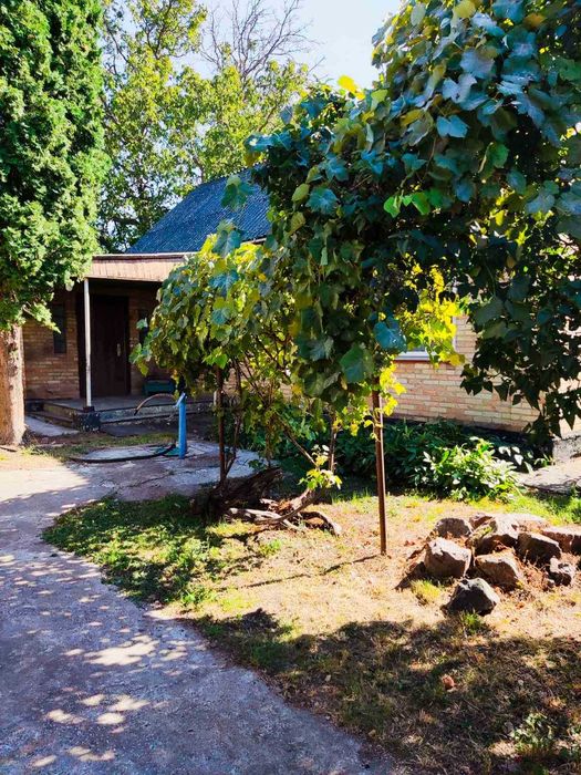 Будинок в с.Степанки