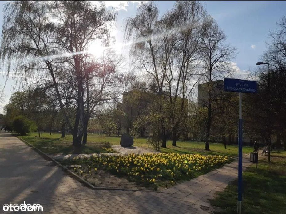 Muranów 2 pokoje - bezpośrednio