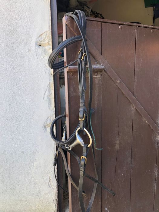 Equipamento de  Equitação