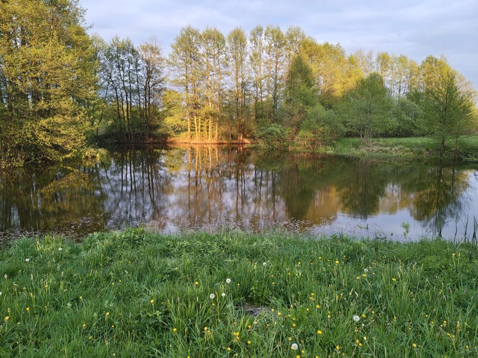 Siedlisko, gospodarstwo rolne 16,1 ha , Kronowo,gm Barczewo