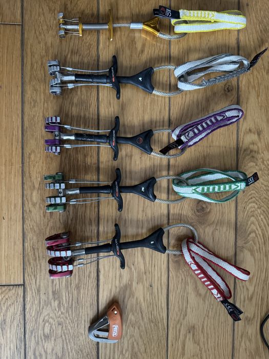 Friendy wild coutnry