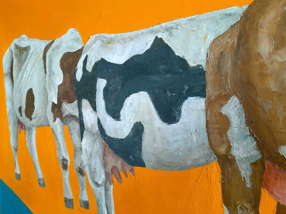 Obraz krów, płótno 80x120, farby olejne