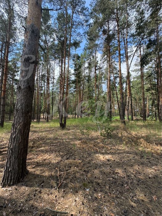 Продам НАЙКРАЩІ ділянки в МАЛЬОВНИЧОМУ місці, 27соток ,с.Проців, ЛІС