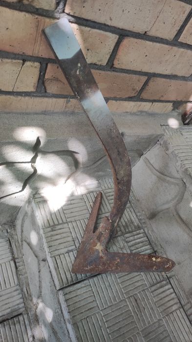 Плоскоріз- пропольник