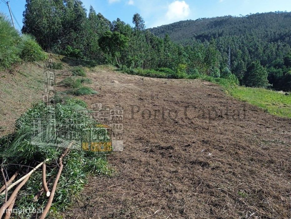 Terreno Rústico em Aguiar de Sousa .