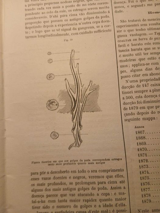 Gazeta dos Lavradores, Dezembro de 1882