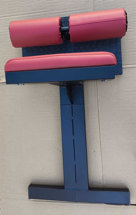 Sissy Squat Fitness e Musculação