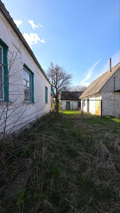 Продаж окремого цегляного будинку в селі Насташка , 25км від Білої Церкви
