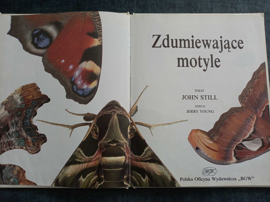 Zdumiewający świat/Zdumiewające motyle