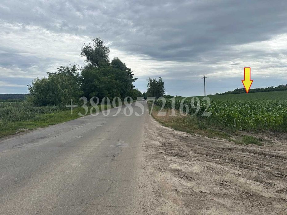 Продаж земельної ділянки 1,6 га, Фастівський район, Княжичі (Боярка)