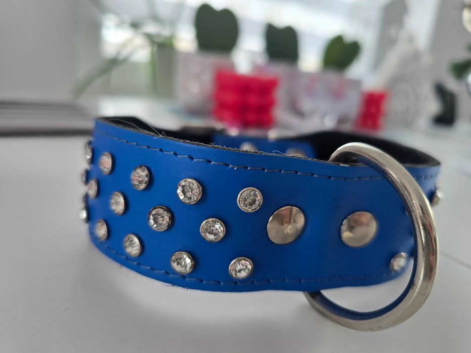 Obroża psa  skóra naturalna Swarovski cyrkonie