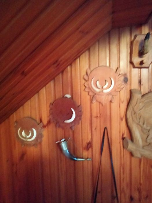 Poroża  i deski myśliwskie i inne