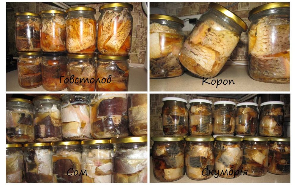 Салака в соку - Альтернатива шпротам