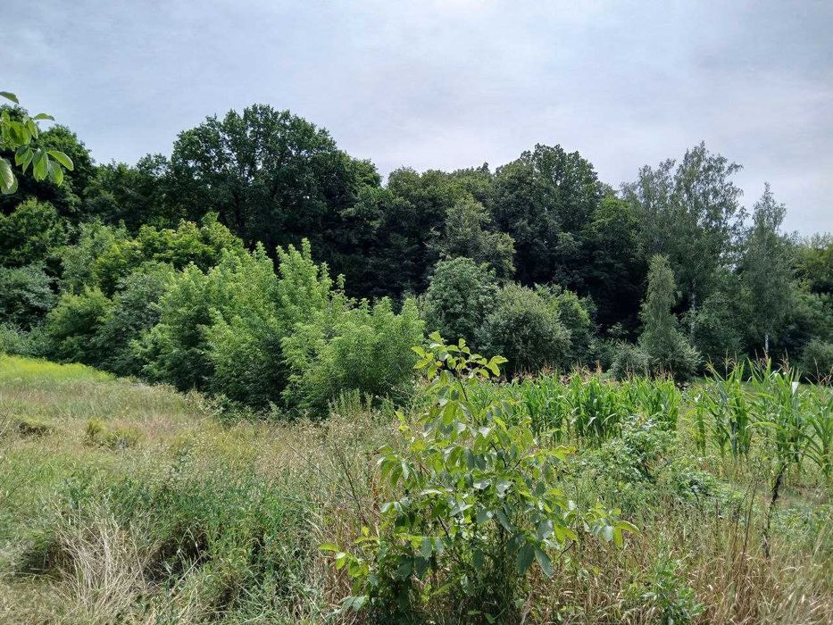 Продам будинок в Матяшівці!