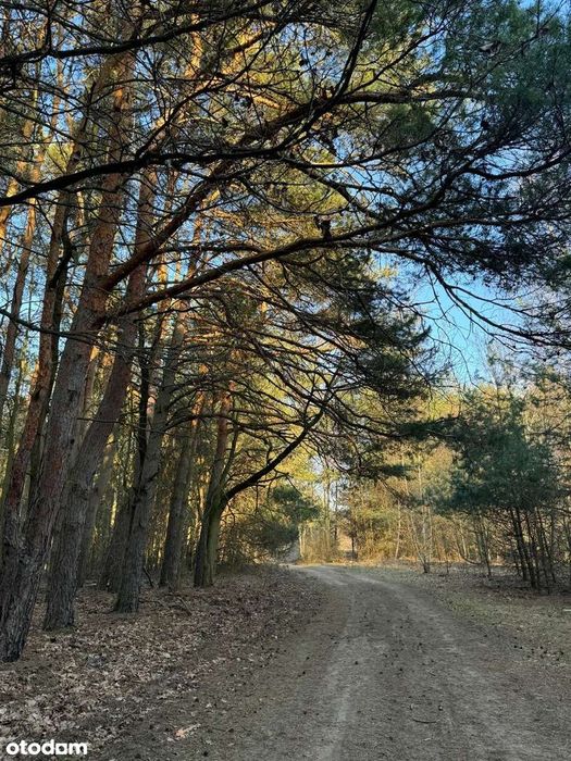 Kuklówka Radziejowicka. Działka budowlana w atrakcyjnej cenie!