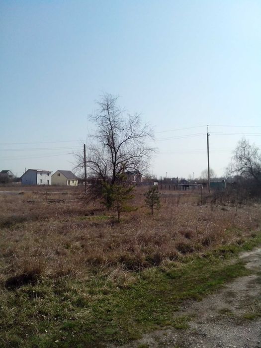 Продам земельну ділянку садове товариство "Тополя"