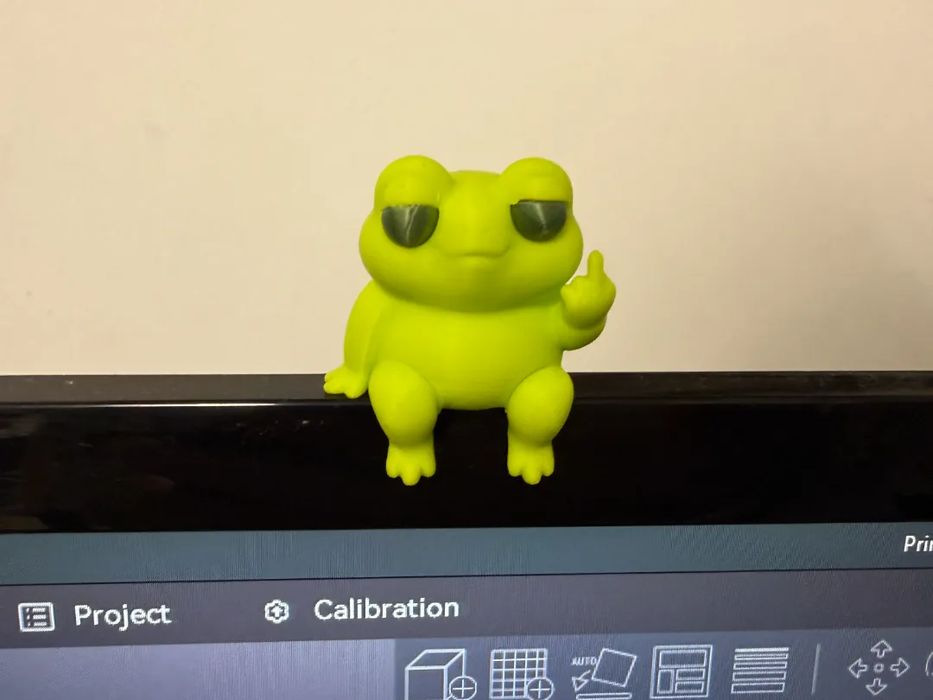 Amigo de Estante — O Sapo Atrevido
