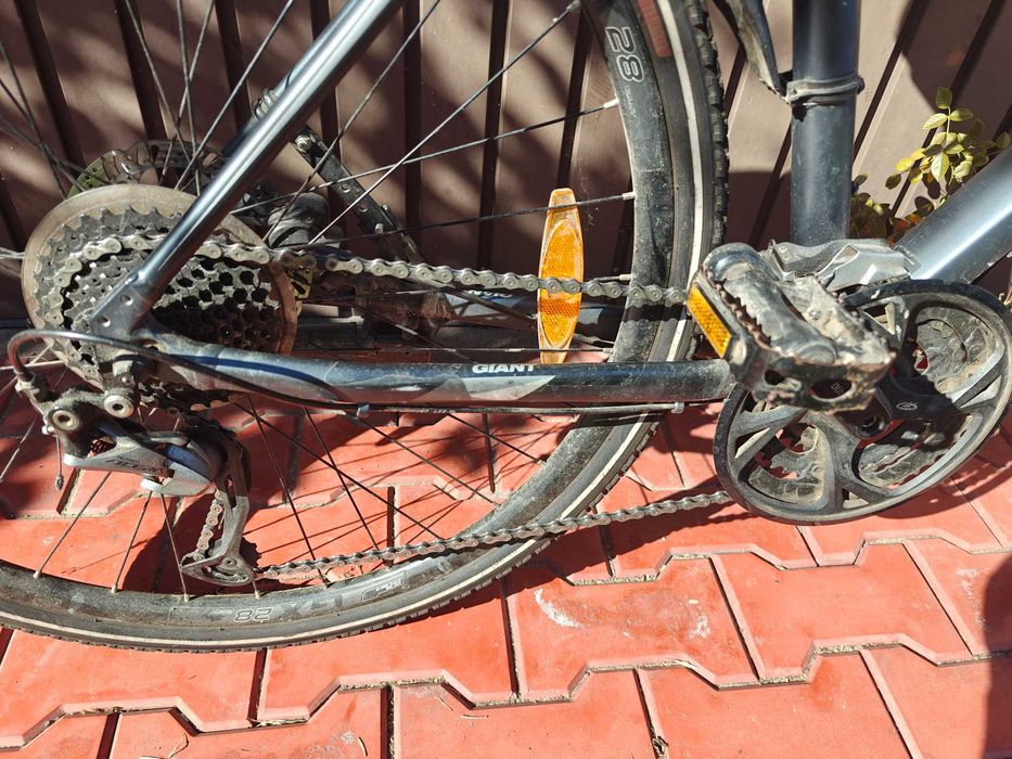 Giant roam 2 disc rozmiar L