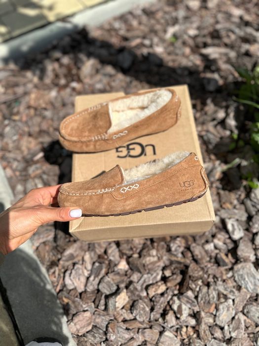 Оригінальні замшеві мокасини тапочки UGG Ansley Dacota