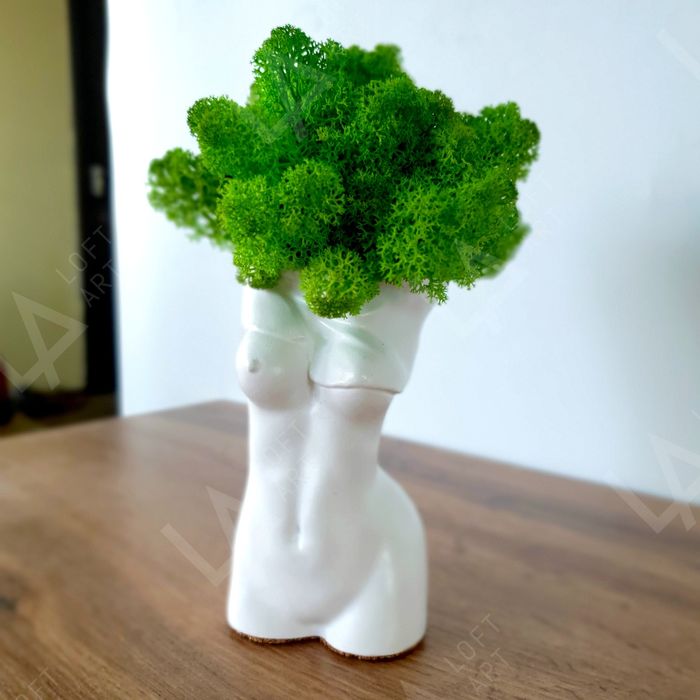 Кашпо, Горшок, Грут Вазон со мхом, Мох в Горшках, Эко, Подарок ребенку ...