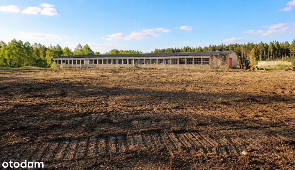 Na sprzedaż lub najem 4,6 ha + hala 1200 m² – Lipie koło Starachowic