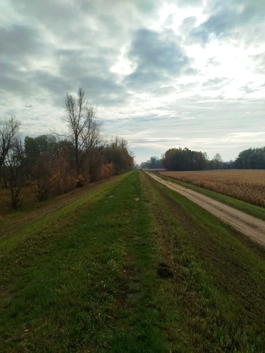 Siedlisko 10 ha nad Wisłą