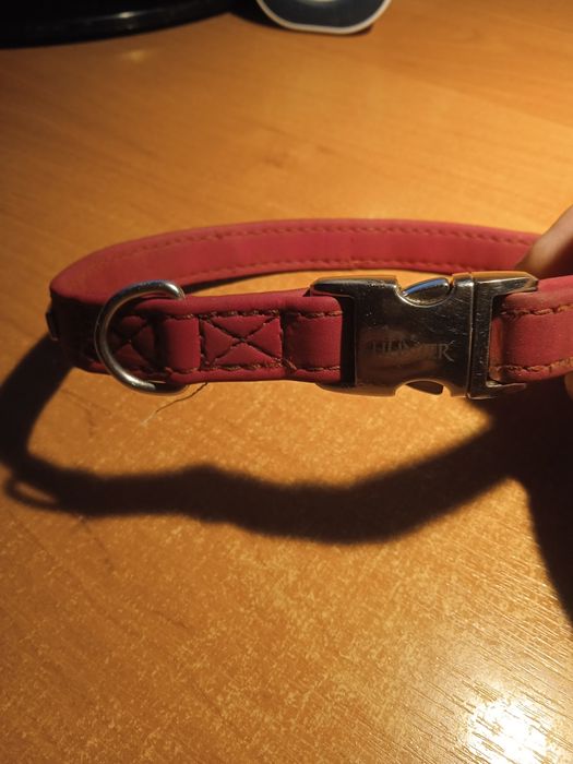 Нашийник для собак Hunter