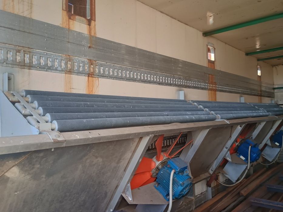 Suszarnia do drewna delta kontener