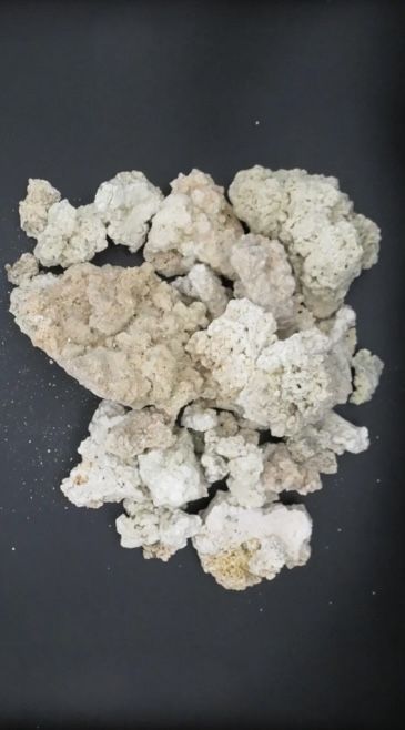 Olej Kamienny Białe Mumio Brakshun