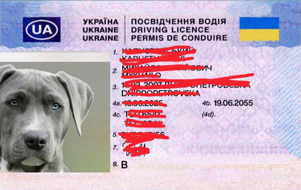 Водительские Права Водительское Удостоверение Водійські Посвідчення Водійське Посвідчення Права Водія Посвідчення Водія для тварин