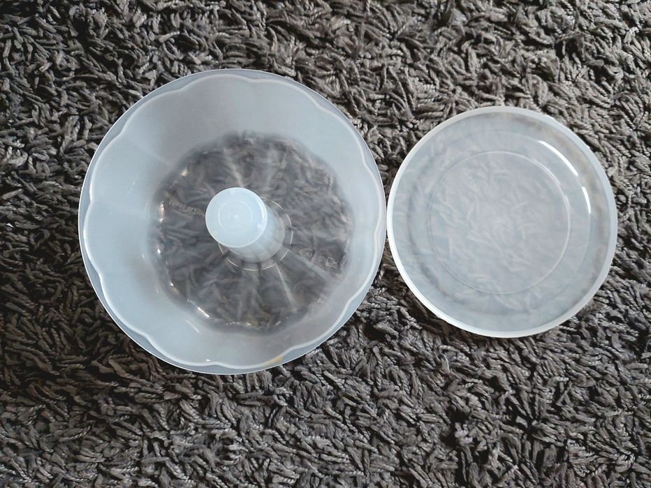 Pudding Mold441033498317957121